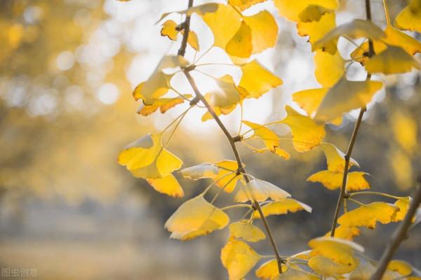 楊絳:一個人之所以痛苦,是因為想得多,書讀得太少 楊絳:一個人之所以痛苦,是因為想得多,書讀得太少