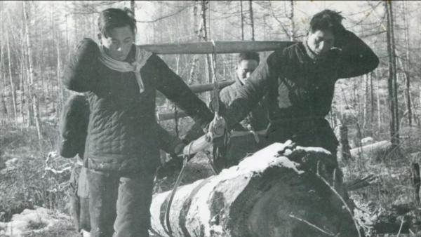 1963年,林場伐木工上山撿到一枚印章,為何導致上百人搜山呢? 1963年,林場伐木工上山撿到一枚印章,為何導致上百人搜山呢?