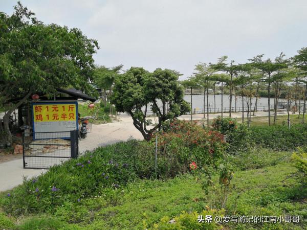 沿著岸邊的步道，貼近廣闊的自然水域，開始在海鷗島上的環島騎行