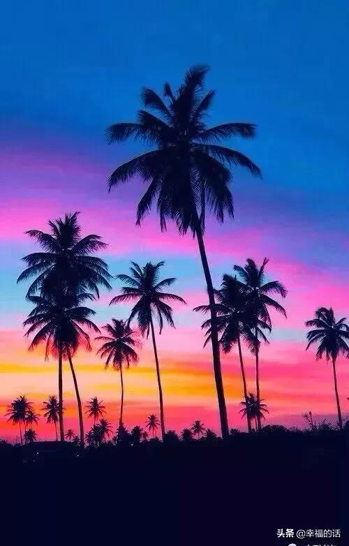 五彩繽紛的世界 五彩繽紛的世界