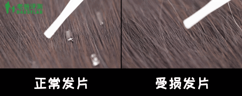 真人實測17款洗髮水,從29.9元到400元的,這次都測全了 真人實測17款洗髮水,從29.9元到400元的,這次都測全了