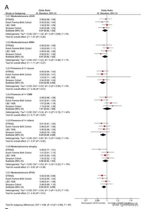 黃勇華教授團隊:2021腦小血管病的研究新進展 黃勇華教授團隊:2021腦小血管病的研究新進展