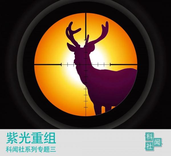 紫光重組好一齣大戲,從群雄逐鹿到智路建廣聯合體與阿里雙雄爭鋒 紫光重組好一齣大戲,從群雄逐鹿到智路建廣聯合體與阿里雙雄爭鋒