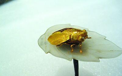 江蘇出土500年前的“金蟬玉葉”,純金打造,專家:國寶級文物 江蘇出土500年前的“金蟬玉葉”,純金打造,專家:國寶級文物