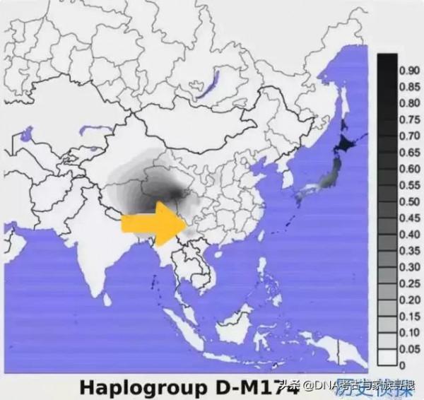 DNA考古:揭秘日本人族源 DNA考古:揭秘日本人族源