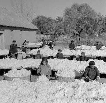 濰坊高密市五十至八十年代老照片