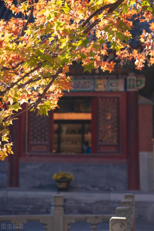 一省一秋!各省秋色“當紅”代言人,你的家鄉上榜了嗎? 一省一秋!各省秋色“當紅”代言人,你的家鄉上榜了嗎?