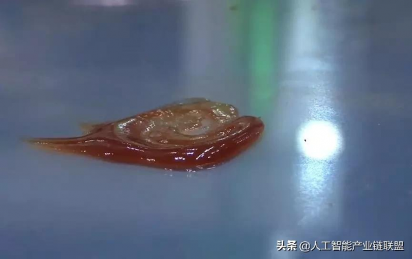 日本發明神奇鏟子！果醬、冰淇淋都能鏟，比布擦得還乾淨