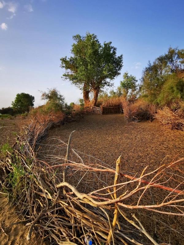 中國唯一的原始部落克里雅人，他們近況如何（青新甘13、14、15）