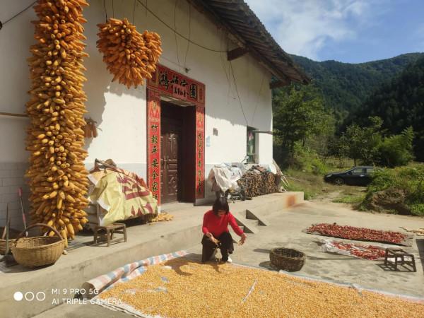 忘掉了時光，怎麼會快快老去？