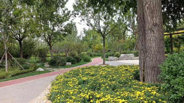 女生戴閃光假肢回應異樣眼光:你不自信,誰能給你陽光? 女生戴閃光假肢回應異樣眼光:你不自信,誰能給你陽光?