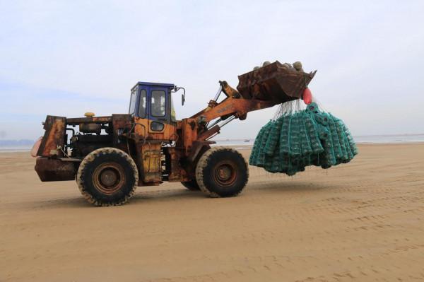 銀杏道的盡頭是大海 銀杏道的盡頭是大海