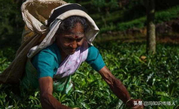 19世紀下半葉中國與西方列強的“經濟對抗”