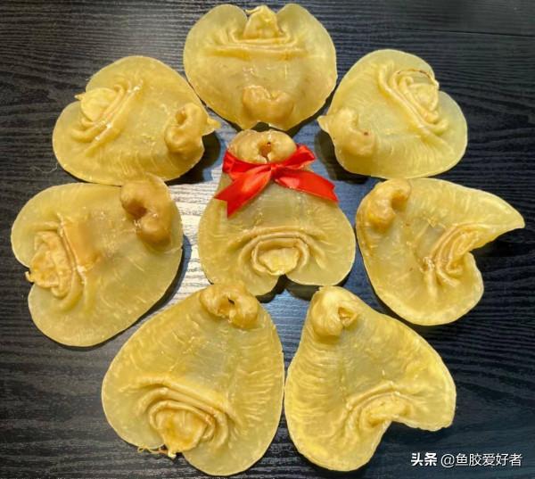 你可能吃錯魚膠了！看完這篇文章帶你瞭解吃魚膠都需要注意哪些？