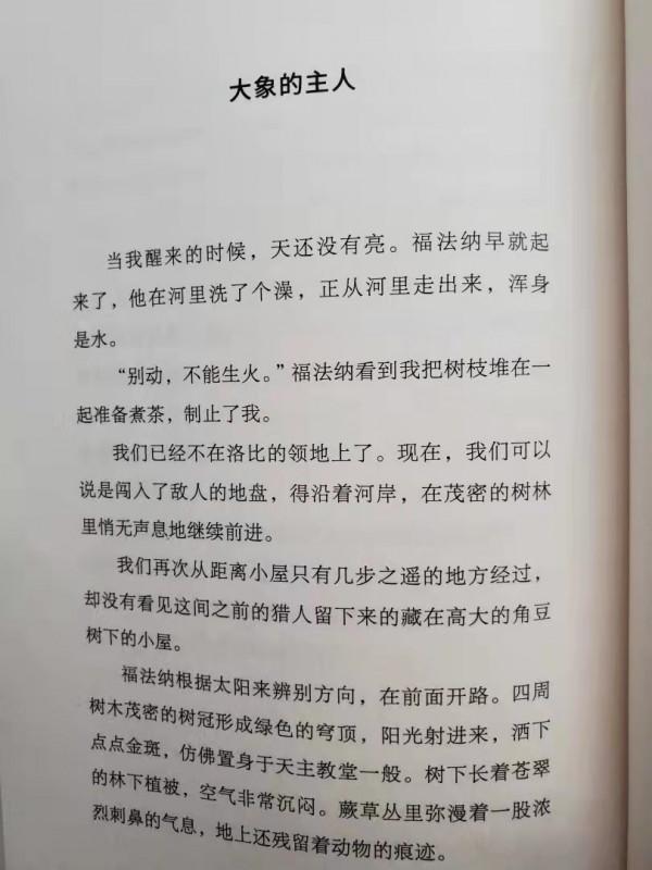 家有男孩,建議閱讀:《大象的主人》,讓孩子有自己的社交和友誼 家有男孩,建議閱讀:《大象的主人》,讓孩子有自己的社交和友誼