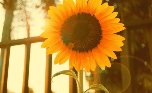 做人要懂得：看人長處，幫人難處，記人好處