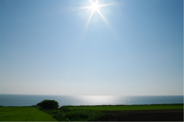 一身傲骨的這些星座,雖然天生驕傲,但絕不容忍失敗 一身傲骨的這些星座,雖然天生驕傲,但絕不容忍失敗