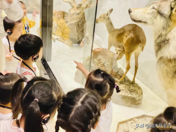 親子打卡!科學探索,細菌好有趣啊,參觀1000+件標本 親子打卡!科學探索,細菌好有趣啊,參觀1000+件標本
