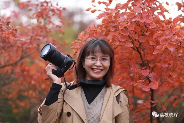 賞紅葉，不能早，也不能晚，時間一定要恰到好處