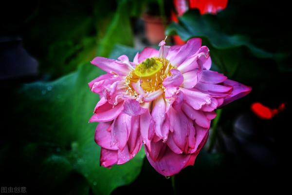 人生有一種內在動力，不是名利，不是金錢驅使，而是文化