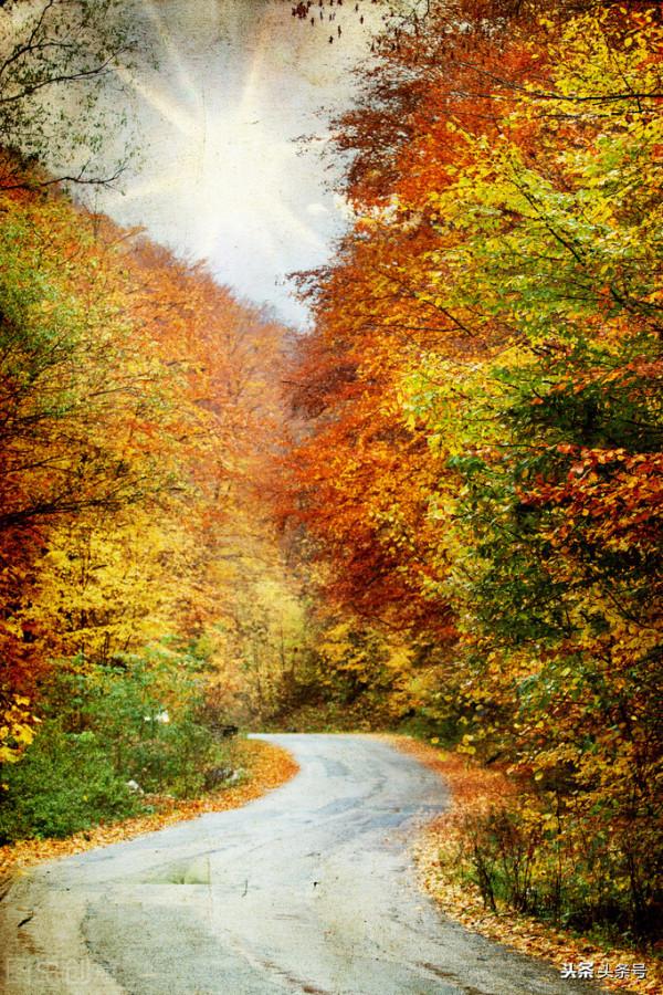 每日一詞《青門飲 寄龍人》賞析 每日一詞《青門飲 寄龍人》賞析