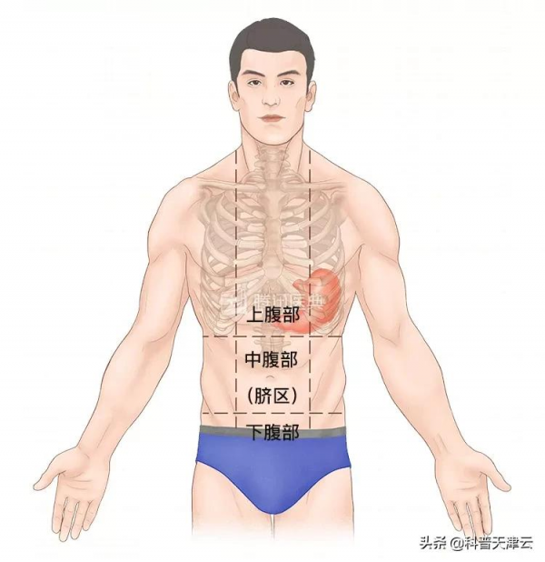 胃不好的人,儘量別吃這種藥!這4類藥才能保護你的胃 胃不好的人,儘量別吃這種藥!這4類藥才能保護你的胃