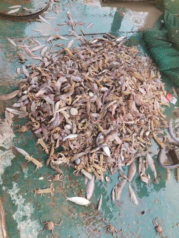 黃驊港出海+南大港溼地兩日遊能不去就別去了，原因