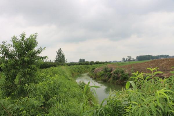 農場開工只請10人，數量是前幾年的一半，為什麼減少了這麼多？