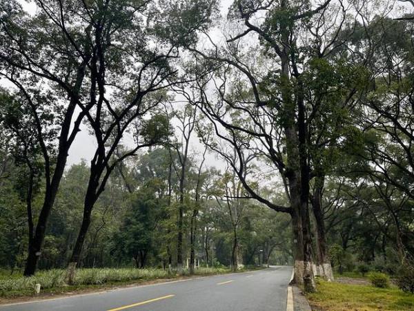 最美省道244，親子週末自駕遊