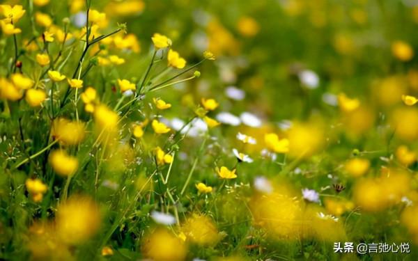 女人怎樣的人生才算有價值?請不要再過度宣揚精彩的勵志女人 女人怎樣的人生才算有價值?請不要再過度宣揚精彩的勵志女人