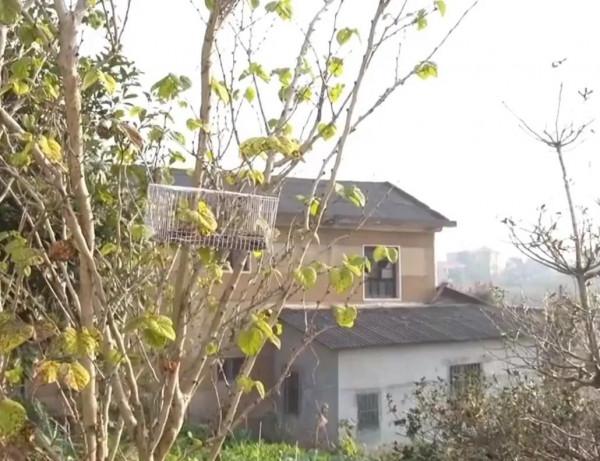 妻患病殘疾，丈夫不離不棄照顧32年，他們的美好愛情故事感天動地