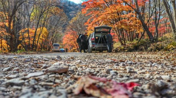 本溪有一個可以自駕遊覽的景區，觀賞紅葉絕美，今年秋天不能錯過