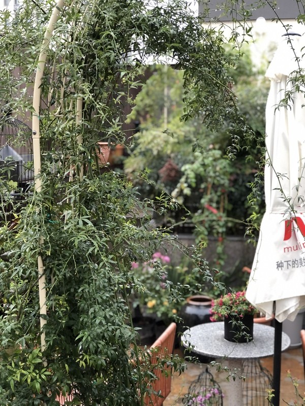 《造園日記》——花拱門