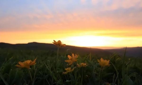 中國最美的9大草原，一輛車，三五好友，就可以馳騁在草原上