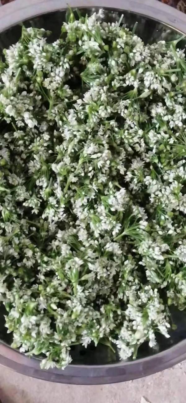 有沒有錢起房子