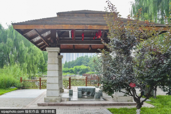 門票3毛錢！這個私家花園對外開放啦，有“佛香閣”，還有滿樹蘋果~