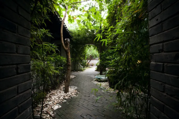 北京的文青和網紅，為何偏愛這條衚衕？