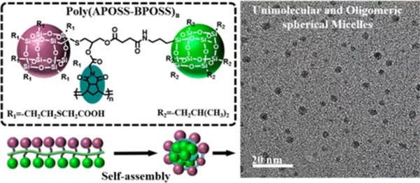 ACS Macro Letters：Janus奈米顆粒自組裝成單分子和低聚球形膠束