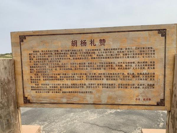 大美新疆（十）羅布人村