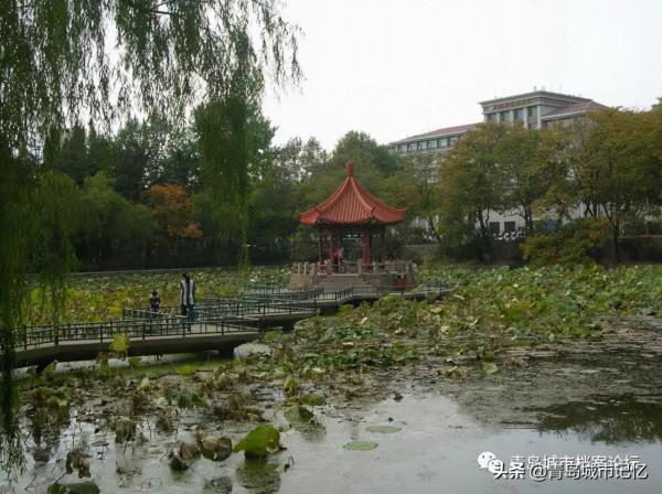 中山公園小西湖，你還記得她曾經的模樣嗎？