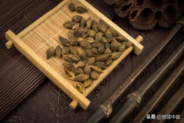 各類鼻炎、鼻子不通，這三味藥宣通鼻竅效果好