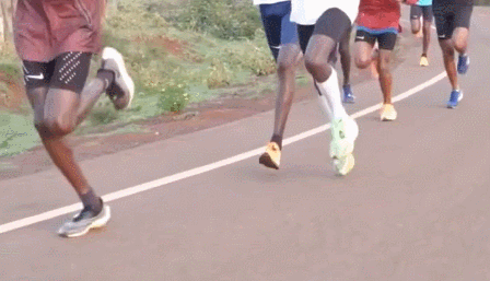 一個小白的跑姿自學總結之落地方式 一個小白的跑姿自學總結之落地方式