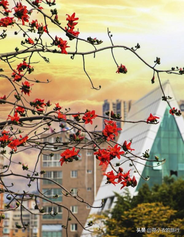 中國最適合北方人過冬的4座城市,空氣好風景佳美食多,適合養老 中國最適合北方人過冬的4座城市,空氣好風景佳美食多,適合養老