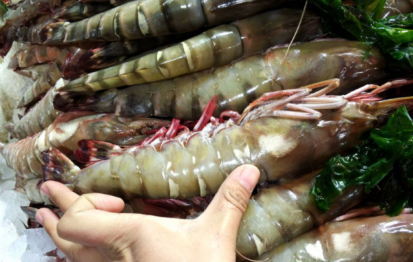 含“寄生蟲”最多的3種海鮮,沒營養還貴,老闆自己從不吃 含“寄生蟲”最多的3種海鮮,沒營養還貴,老闆自己從不吃