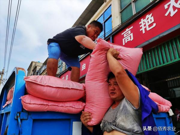 中國有最好的複合肥嗎？農民在購肥過程中，如何擦亮眼睛不上當