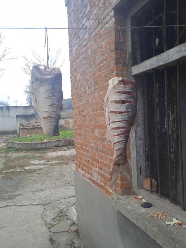 不要社恐，不要怕人情世故走親戚，以後可能不用走親戚了