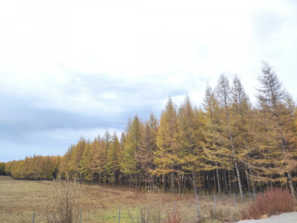 國慶假期我們去了這6個地方，遠近皆有，人少不扎堆，風景獨特