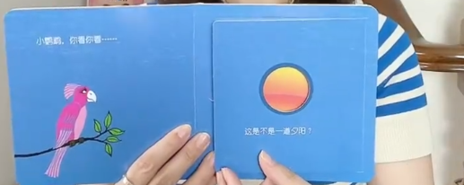 6套比玩具都好玩的繪本，設計新穎腦洞大開，親子共讀超歡樂