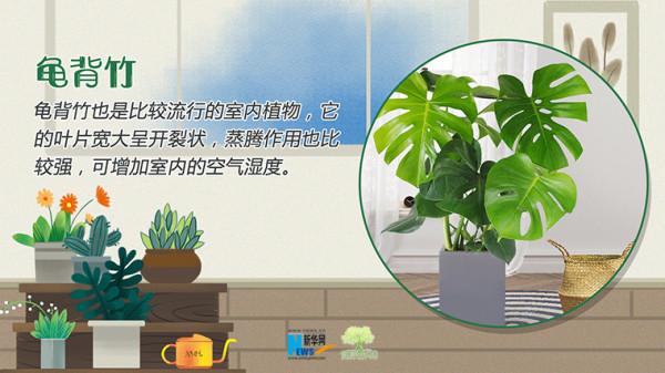 「健康解碼」冬季室內乾燥，這些“天然空氣加溼器”瞭解一下