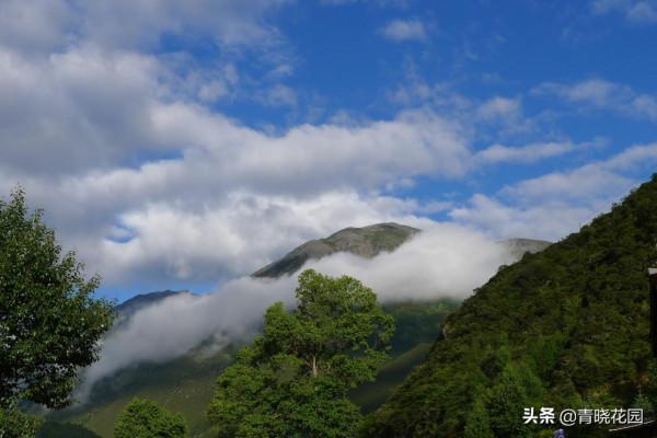 川藏騎行日誌：難上折多山